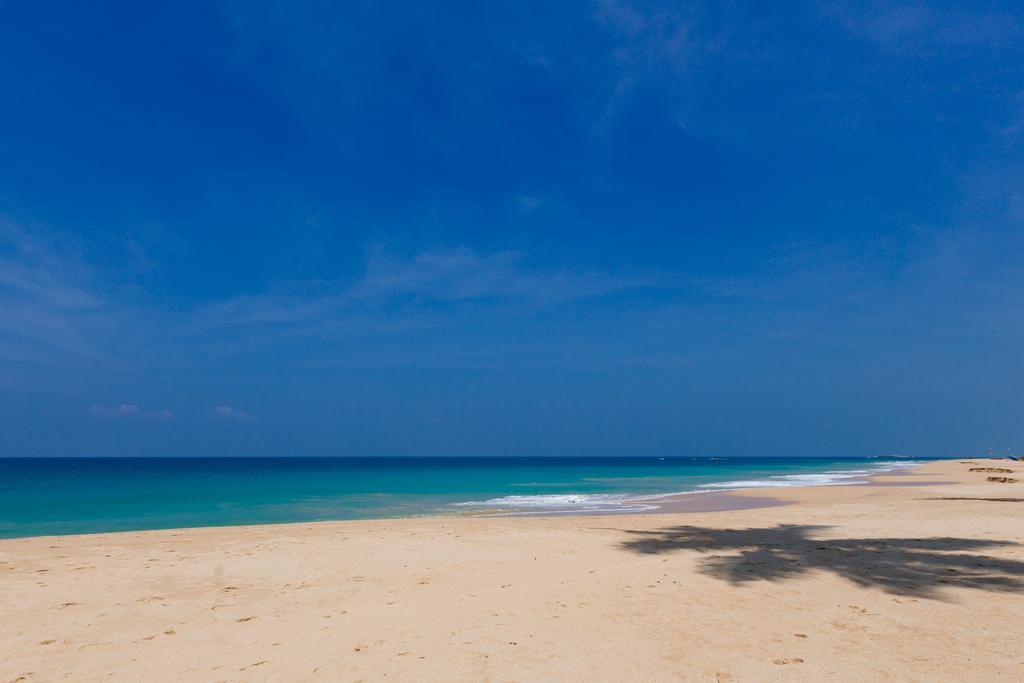 Blue Parrot Beach Villa Ambalangoda  Εξωτερικό φωτογραφία