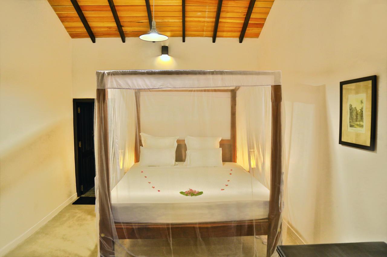 Blue Parrot Beach Villa Ambalangoda  Εξωτερικό φωτογραφία